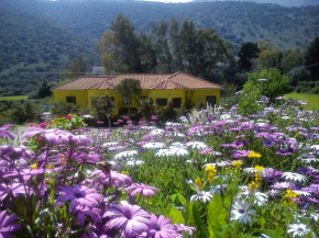  Countryside Studios  Agia Effimia